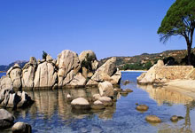 甲骨文注册地址及玩法