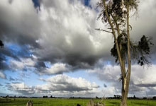 全自动白嫖教程，1分钱买买买！青龙面板搭建，京东自动薅羊毛，签到领京豆 自动农场浇水 京东自动获取cookie软件傻瓜教程 备份还原 开源免费