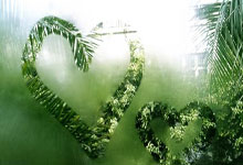 全自动白嫖教程，1分钱买买买！青龙面板搭建，京东自动薅羊毛，签到领京豆 自动农场浇水 京东自动获取cookie软件傻瓜教程 备份还原 开源免费